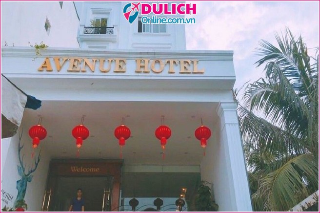 Khách sạn Avenue Sầm Sơn